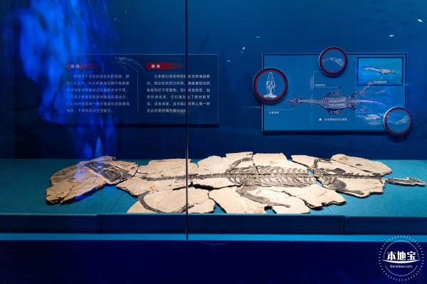 展览：向海之旅