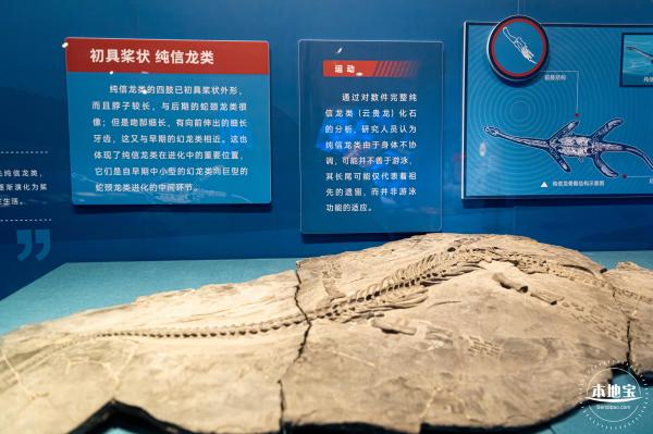 展览：向海之旅