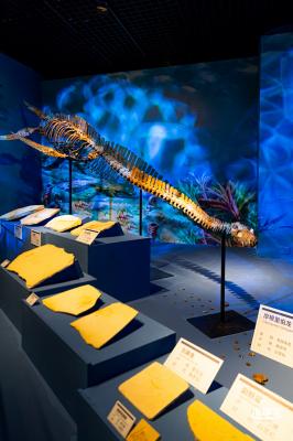 展览：向海之旅