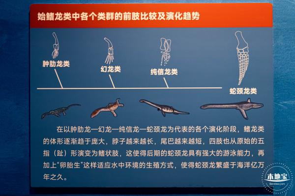 展览：向海之旅