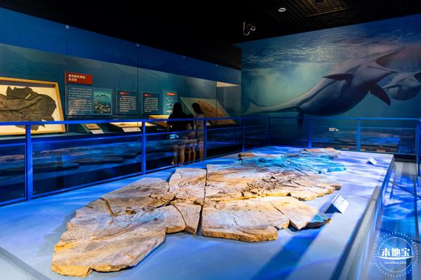 展览：向海之旅
