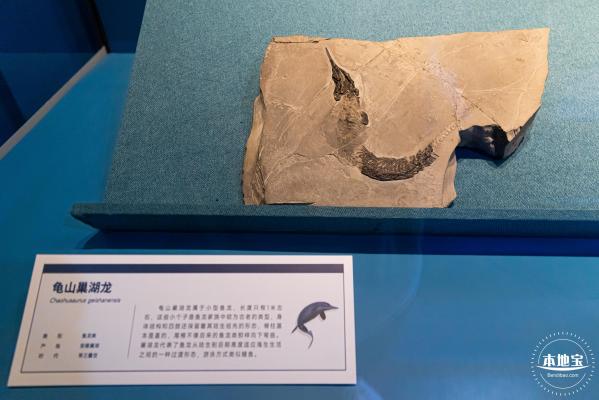 展览：向海之旅