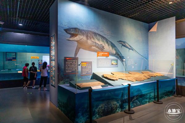 展览：向海之旅