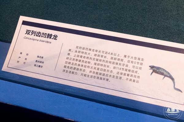 展览：向海之旅