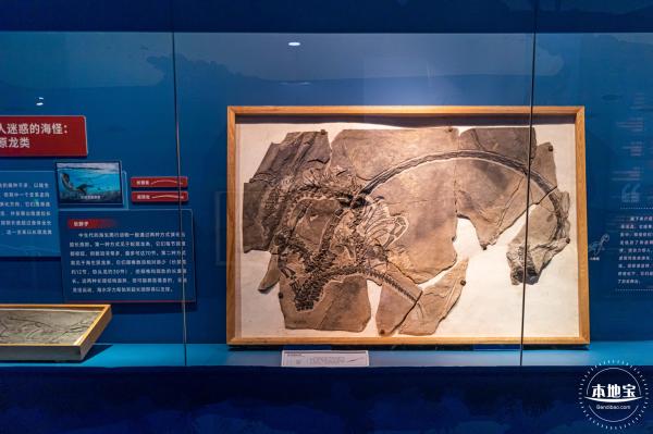 展览：向海之旅