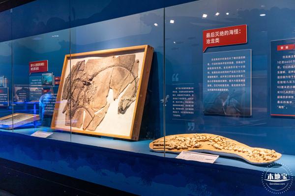 展览：向海之旅