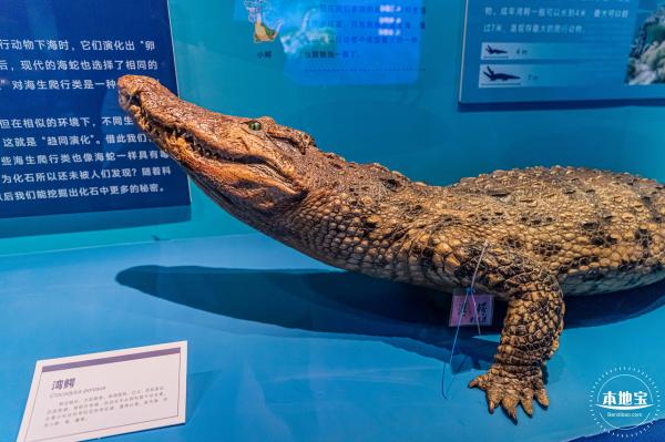 展览：向海之旅