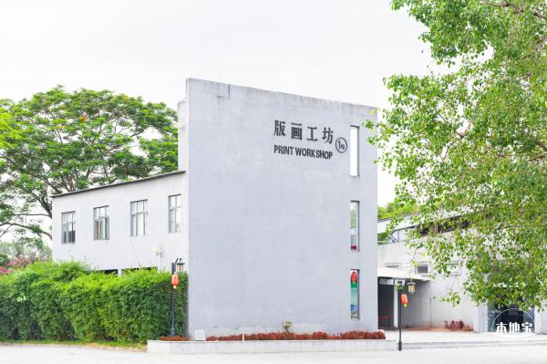 观澜版画村花海