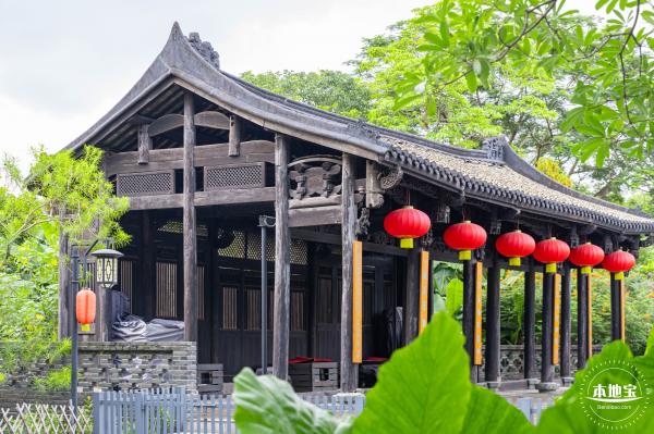 观澜版画村花海