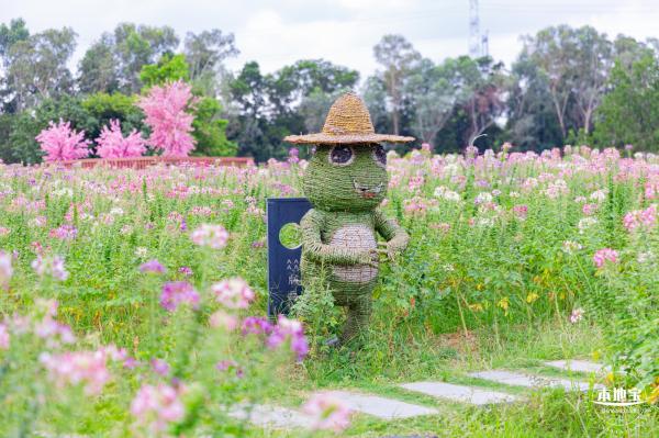 观澜版画村花海