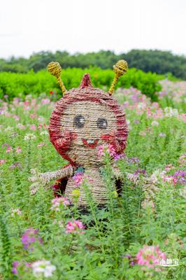 观澜版画村花海