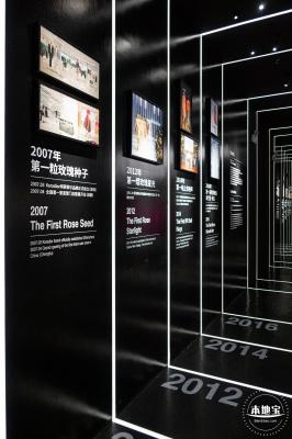 玫瑰幻境展