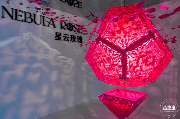 玫瑰幻境展
