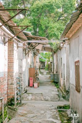 鹊山老村