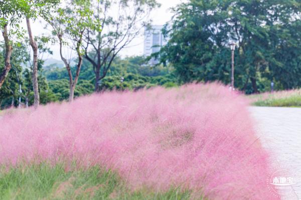 陌上花公园