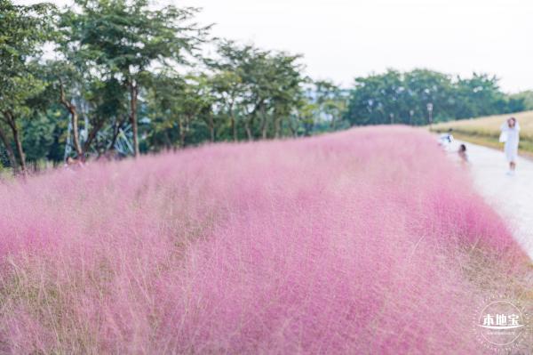 陌上花公园