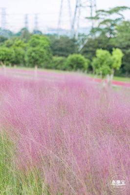 陌上花公园