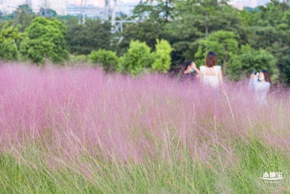 陌上花公园
