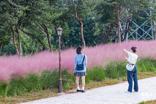 陌上花公园