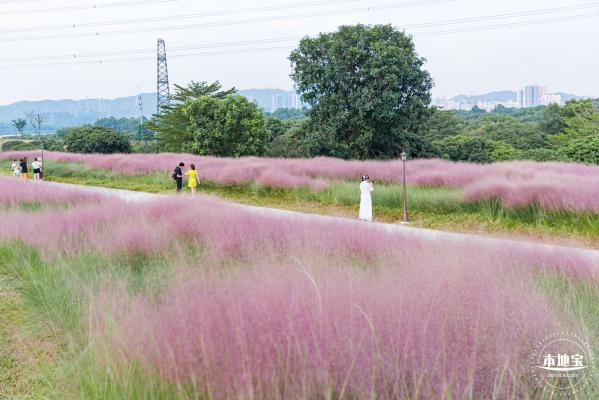 陌上花公园