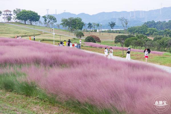 陌上花公园