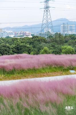 陌上花公园