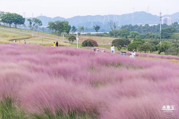 陌上花公园