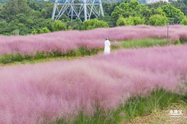 陌上花公园