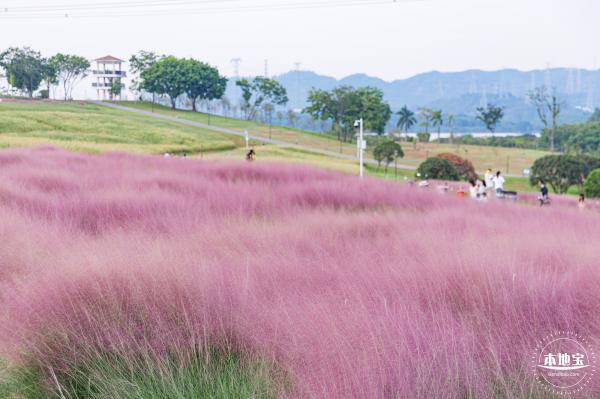 陌上花公园