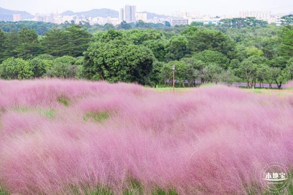 陌上花公园