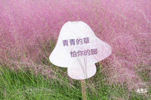 陌上花公园