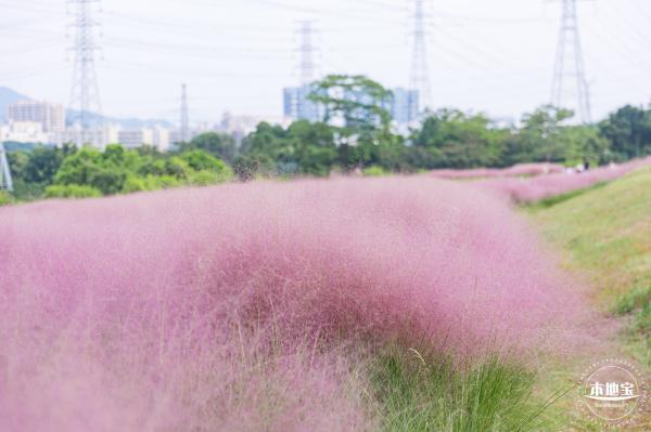 陌上花公园