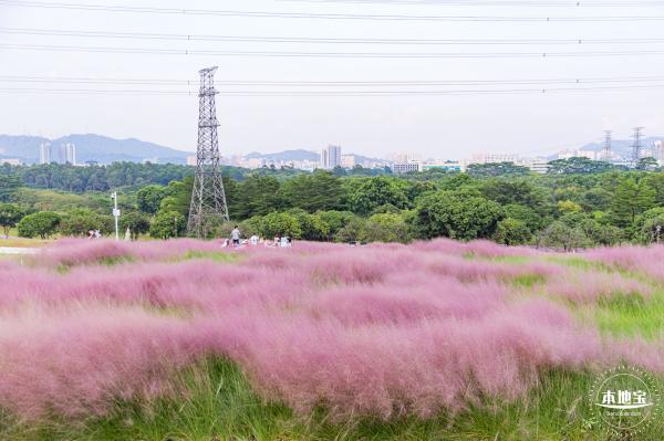 陌上花公园