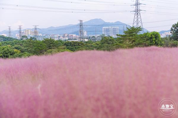 陌上花公园