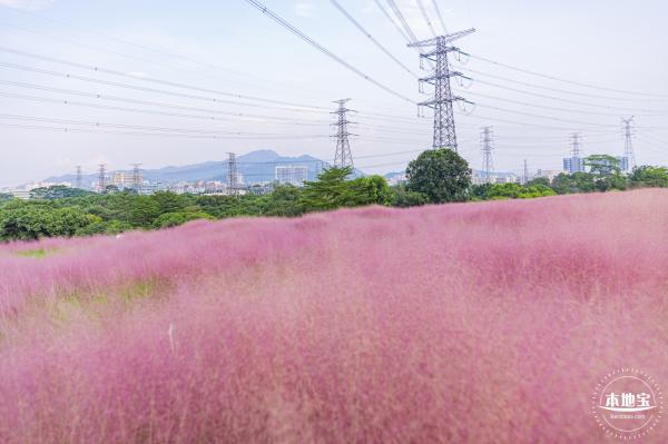 陌上花公园