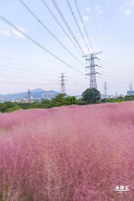 陌上花公园