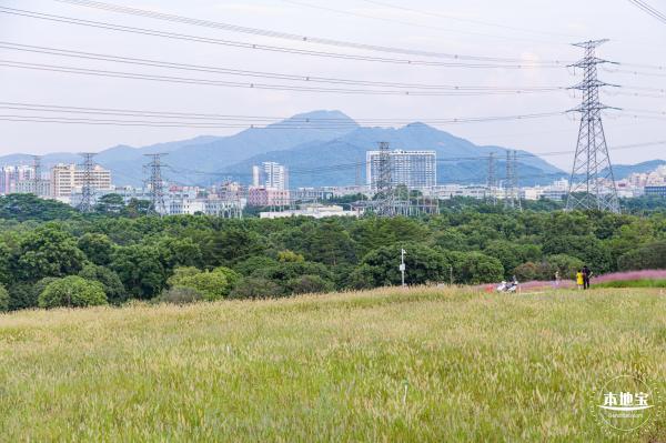 陌上花公园