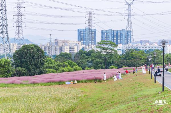 陌上花公园