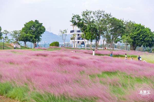 陌上花公园