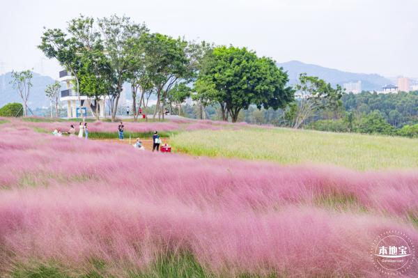 陌上花公园