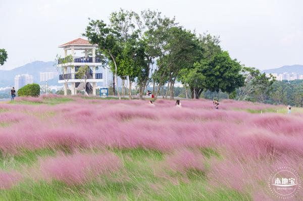 陌上花公园