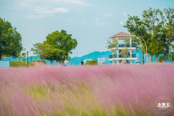 陌上花公园