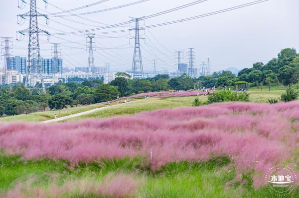 陌上花公园
