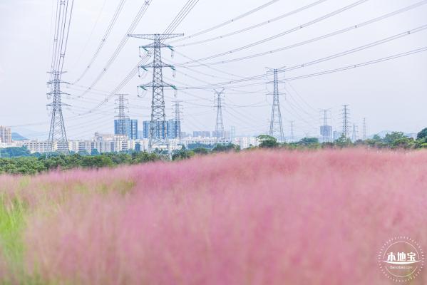陌上花公园