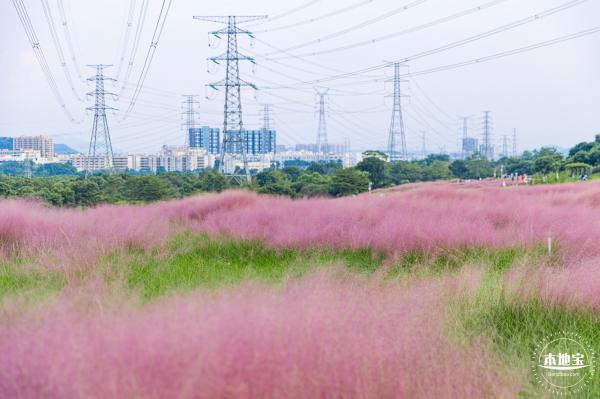 陌上花公园