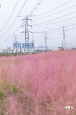 陌上花公园