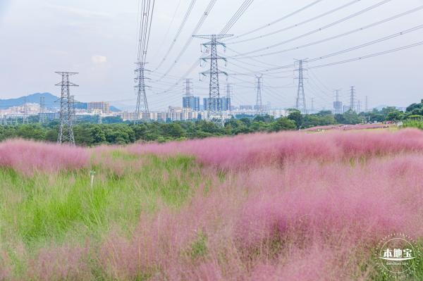 陌上花公园