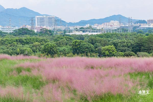 陌上花公园