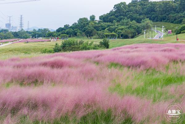 陌上花公园