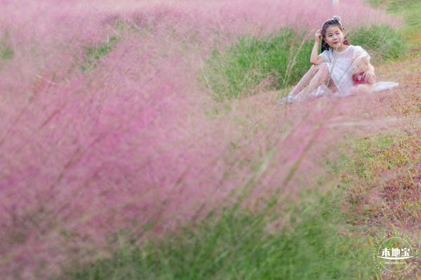 陌上花公园